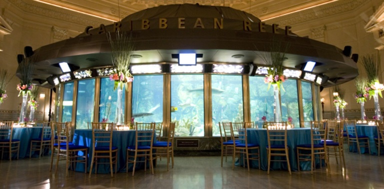 Awards Dinner at the Chicago Aquarium | Chicago Corporate Event Planning