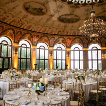 jan_levine_Starline_269