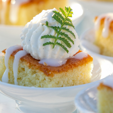 reception_dessert-background